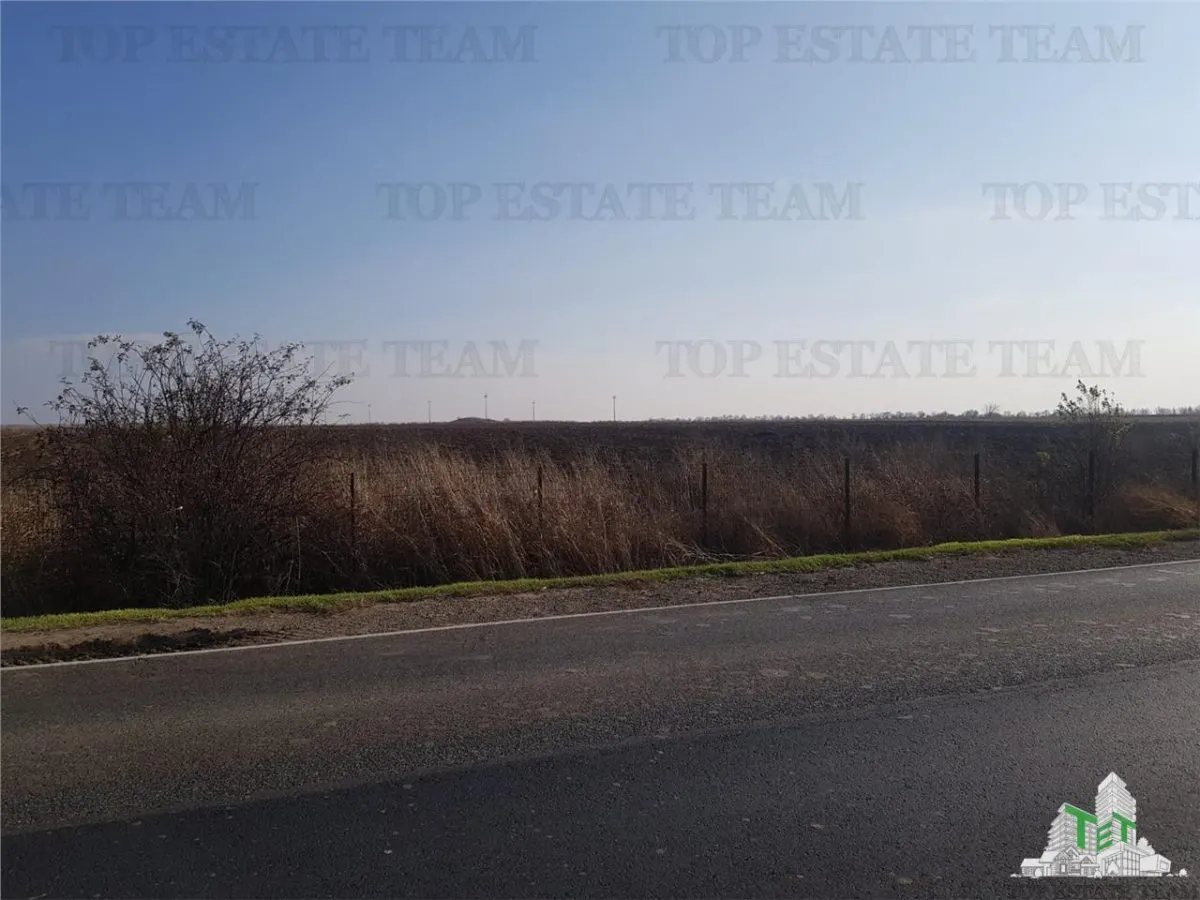 Teren extravilan - Braila - E584 - vanzare - foto 1