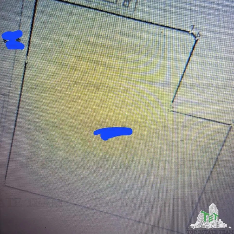 Teren extravilan - Braila - E584 - vanzare - foto 2
