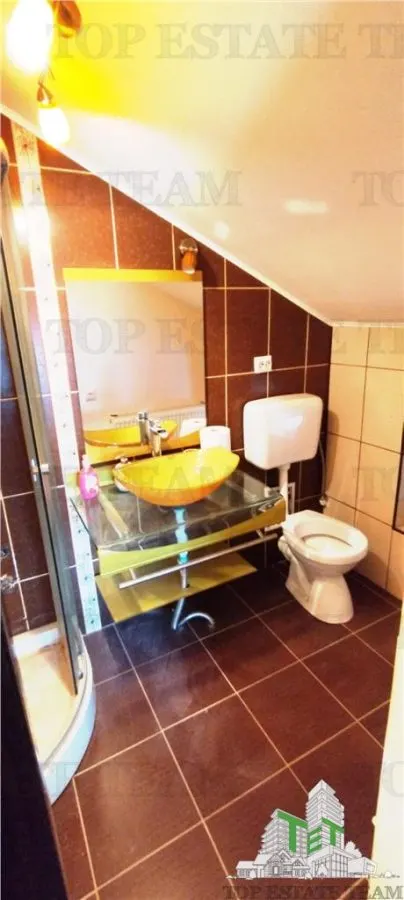 VANZARE PROPIETATE 2 CASE OTOPENI - foto 11