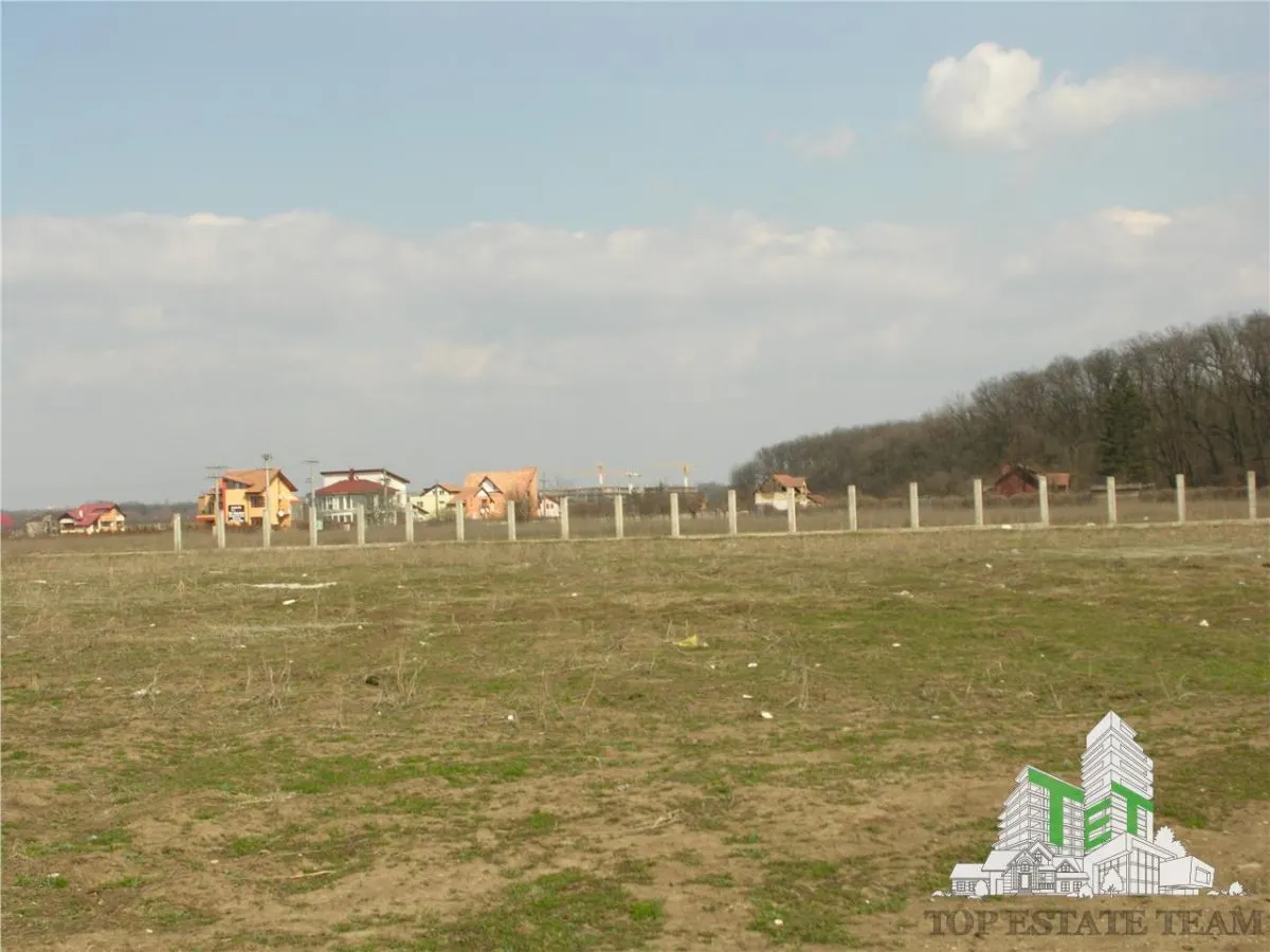 Teren 27000mp langa Padurea Baneasa Bucuresti - foto 3