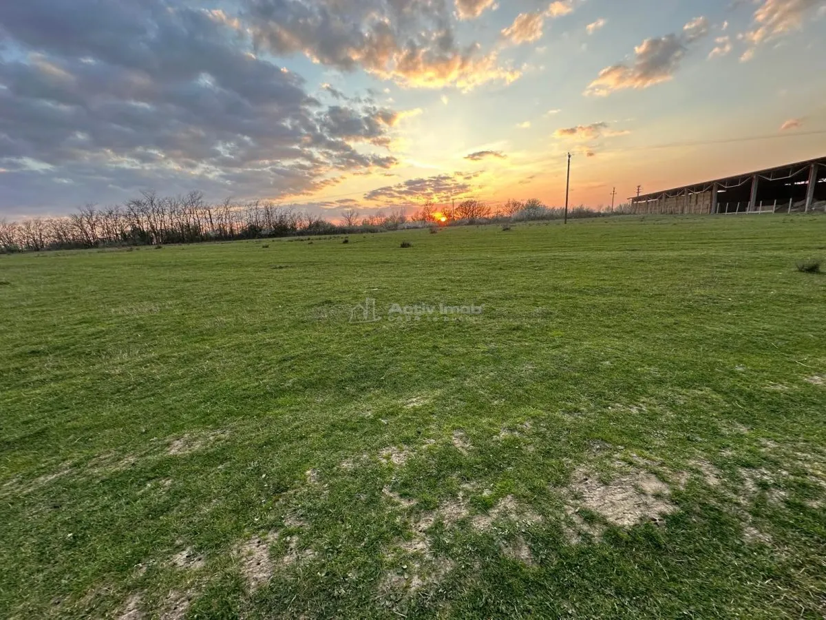 Bocsa Romana, 2 terenuri intravilan, 10.000 Mp.(57.500 Euro) si arabil, 80.000 Mp.(54900 Euro, 8 HA) langa Hala Transavia - foto 2