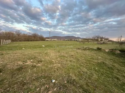 Bocsa Romana, 2 terenuri intravilan, 10.000 Mp.(57.500 Euro) si arabil, 80.000 Mp.(54900 Euro, 8 HA) langa Hala Transavia - foto 6