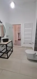 Spatiu 146mp pt. birouri, ultracentral vizavi de Primaria Arad - foto 11