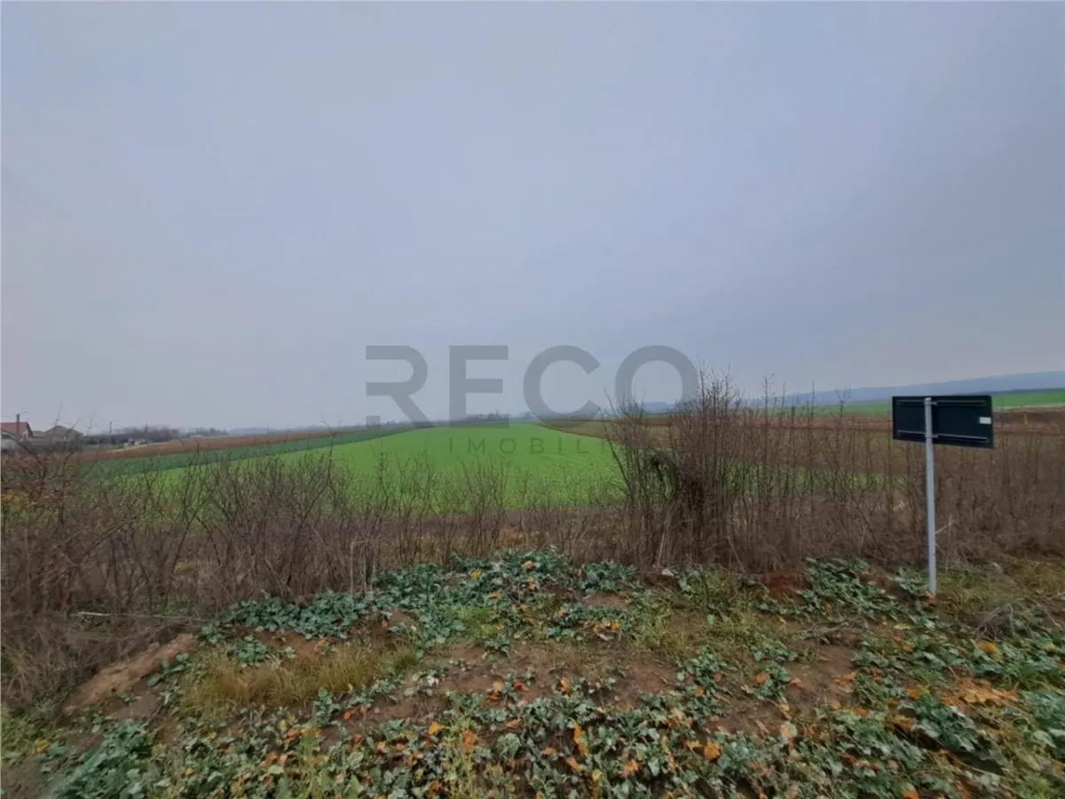 RECO teren Chiribis - foto 1