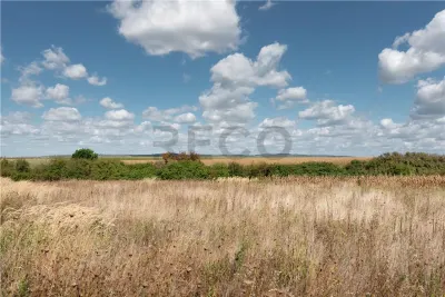 RECO Teren intravilan in Rontau - foto 2