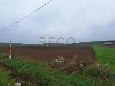 RECO teren Ghenetea 7800mp - Ghenetea