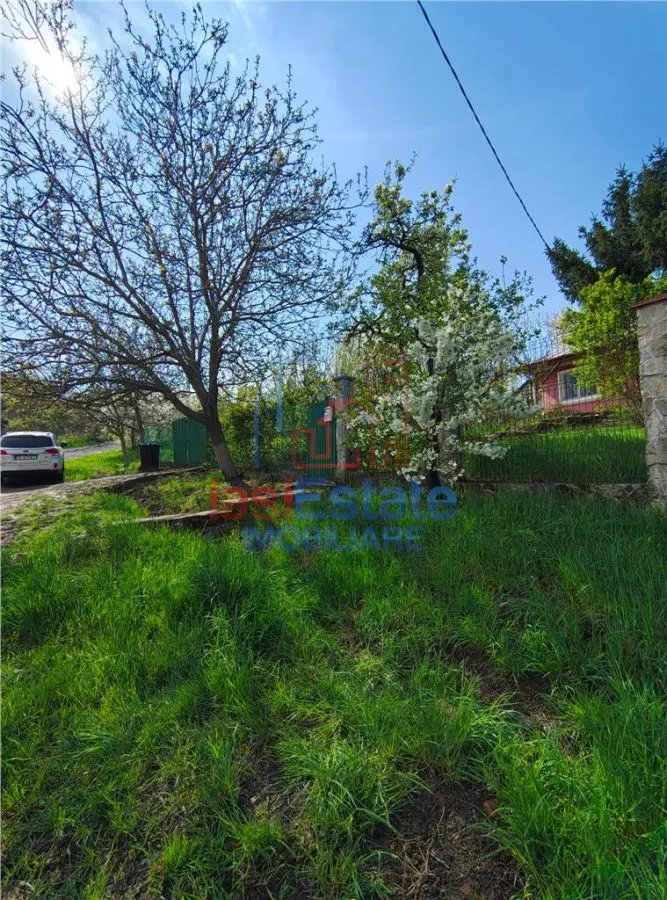 UAT Iasi - Trecatoarea Paun - Teren intravilan Bucium 750mp - foto 1