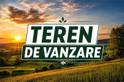 2 Terenuri- MOSNITA VECHE- 675 mp - foto 3