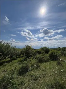 SE VINDE LIVADA - Ghinda