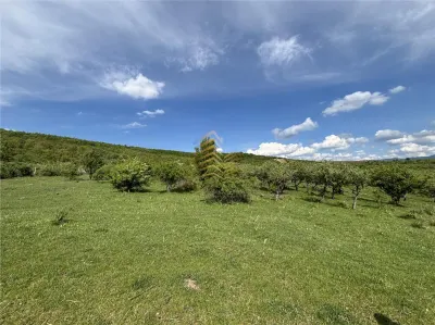 SE VINDE LIVADA - foto 2