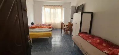 Cazare muncitori garsoniere/apartamente la curte in Vladimirescu - foto 18