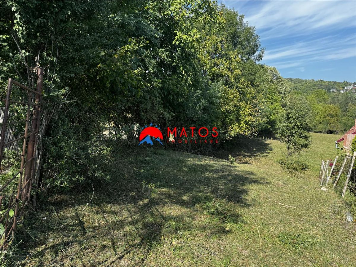 TEREN INTRAVILAN DE VANZARE IN POIANA CAMPINA | 3.526 MP | - foto 14