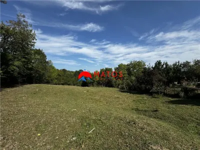 TEREN INTRAVILAN DE VANZARE IN POIANA CAMPINA | 3.526 MP | - foto 3