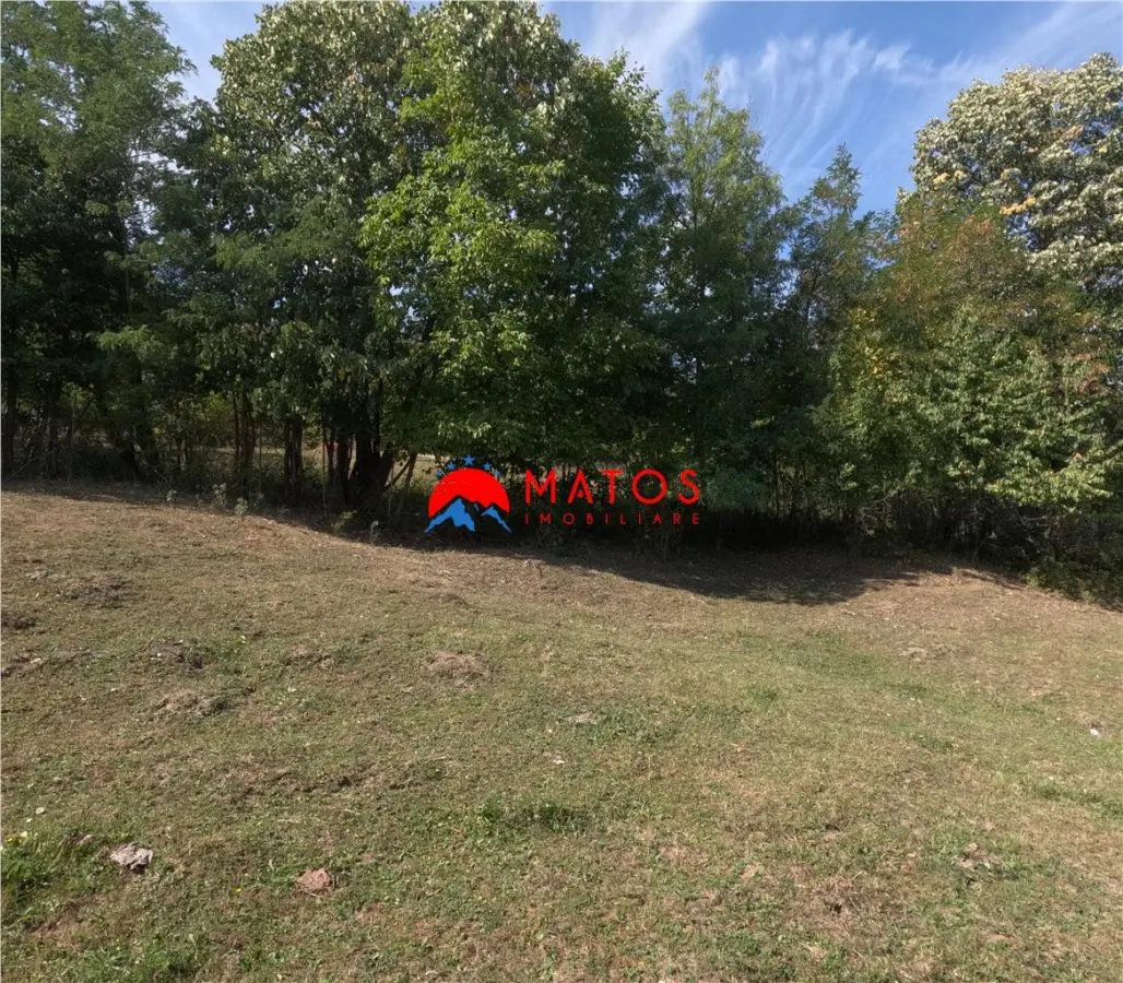 TEREN INTRAVILAN DE VANZARE IN POIANA CAMPINA | 3.526 MP | - foto 4
