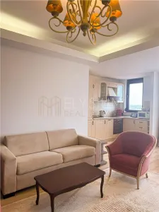 Apartament 2 camere de inchiriat North Area Lake View - foto 9