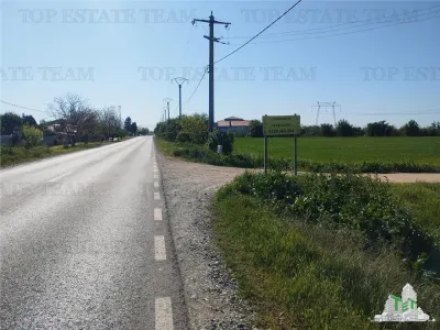 Teren intravilan - vanzare - Calarasi - Frumusani - Frumusani