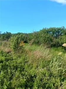 Teren de vanzare Valea Lungă - Holboca - foto 3