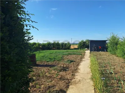 RECO  Casa plan parter cu 3 dormitoare Alparea - foto 18