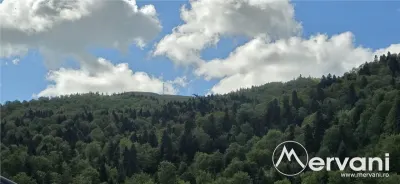 Casa de vanzare cu 2 apartamente in Azuga - foto 10