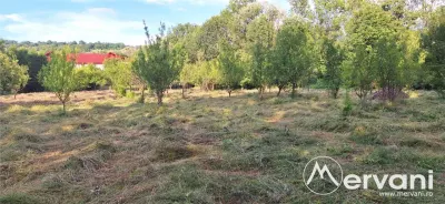 Vila de vanzare cu 6 camere si teren de 5116 mp in Cornu - foto 12