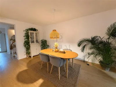 Giroc, duplex, 4 camere, 2 bai, curte, terasa, garaj - Giroc
