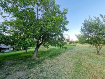 RECO Proprietate cu 2 case si teren mare in Girisu de Cris - foto 6