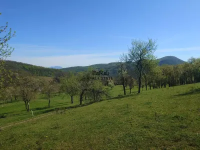 Teren intravilan si extravilan Luncoiu de Jos - foto 7