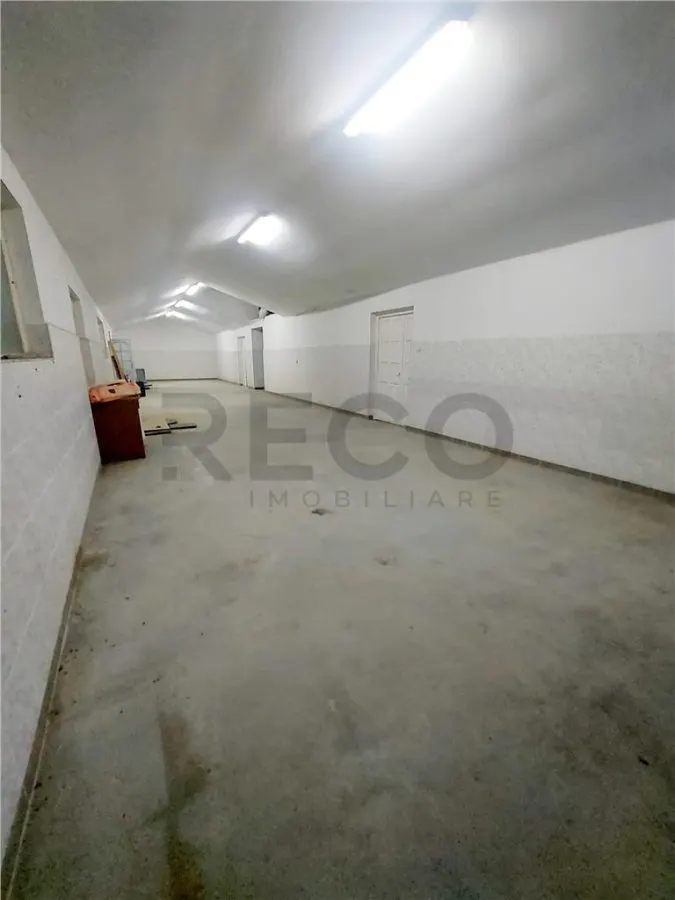 RECO Hala de 800 mp cu teren de 1600 mp in Ineu de Cris Bihor. - foto 2
