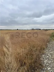 RECO teren Cihei - foto 2
