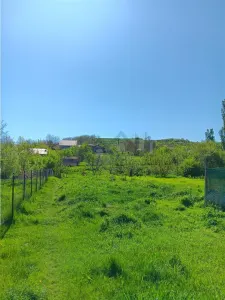Doar 27e/mp!  Vorovesti TEREN 1787mp  toate utilitatile cu acces doua strazi asfaltate - foto 4