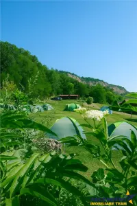 Transilvania Camping, domeniu de 14.400mp,Sanmarghita de Mures:2cladiri, apartamente,potential exceptional - foto 3