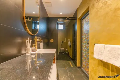 FILM& 3D! Vila high tech, cu semineu, jacuzzi, terasa, 7 camere cu baie proprie, Central, Brasov - foto 13