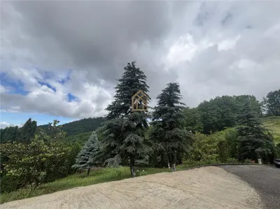 Vila de vanzare cu panorama deasupra orasului zona Parcul Regina Maria - foto 7