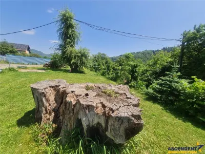 Deschidere spre crestele alpine+ documentatie turistica, 4.400 mp de inspiratie naturala - foto 23