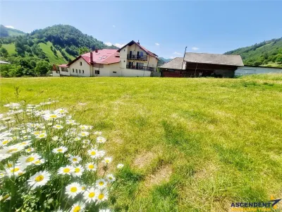 Deschidere spre crestele alpine+ documentatie turistica, 4.400 mp de inspiratie naturala - foto 4