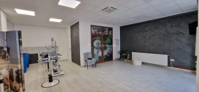 Resita Central Spatiu Comercial Judecatorie - foto 3