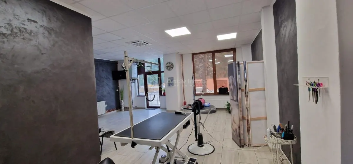 Resita Central Spatiu Comercial Judecatorie - foto 6