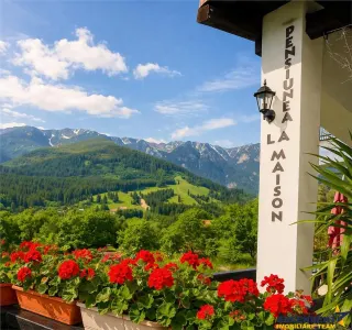 Pensiune:3 km de Castelul Bran, 2.900mp teren, aviz ISU, predare la cheie - Brasov