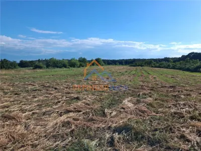 Teren 10000 mp intravilan - agricol / Giurgiu / Oportunitate investitie - foto 4