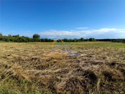 Teren 10000 mp intravilan - agricol / Giurgiu / Oportunitate investitie - foto 5