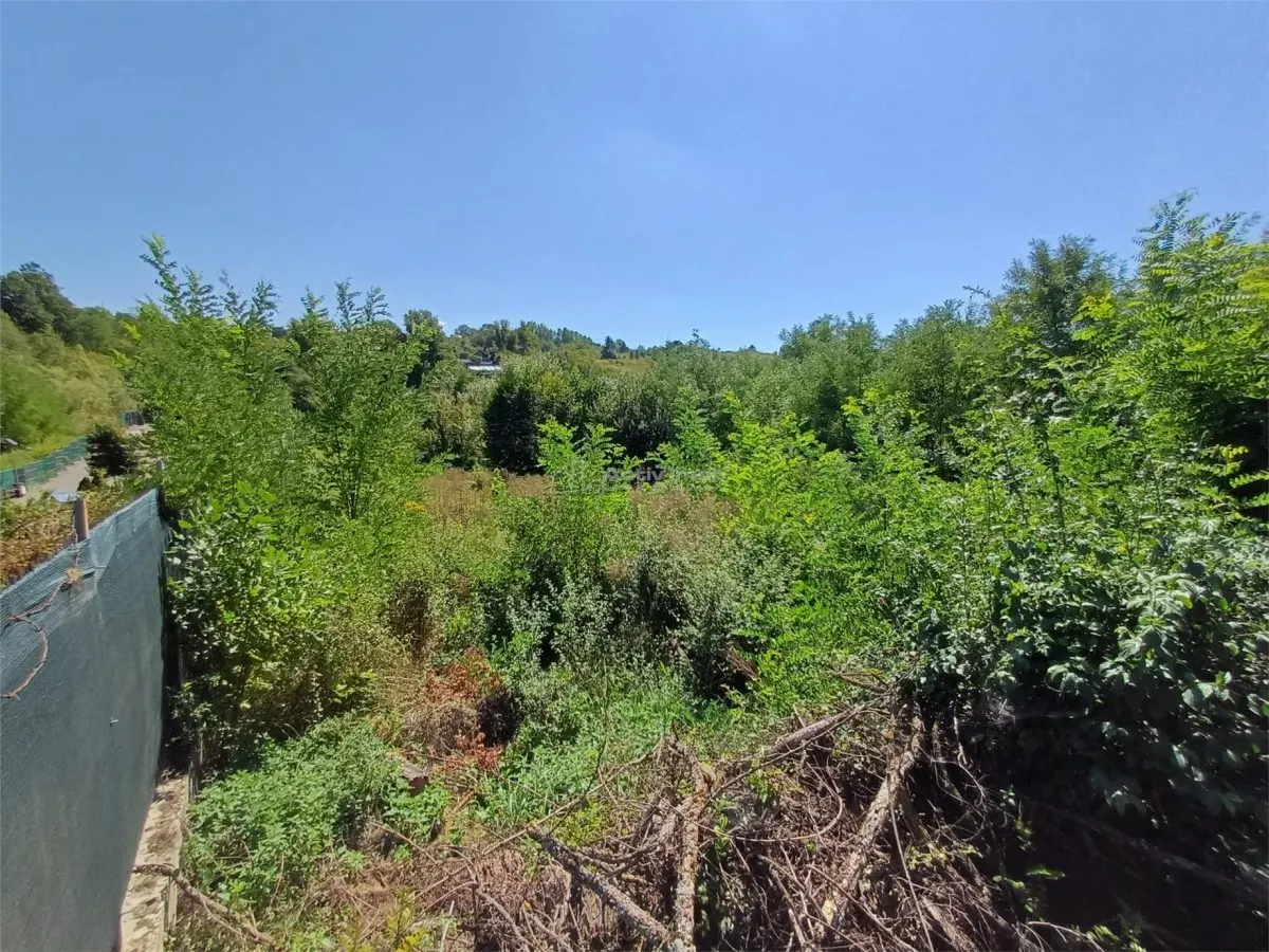 Resita, Teren Intravilan 5615 Mp., 25 Euro/Mp., Calea Caransebesului, Memento - foto 12