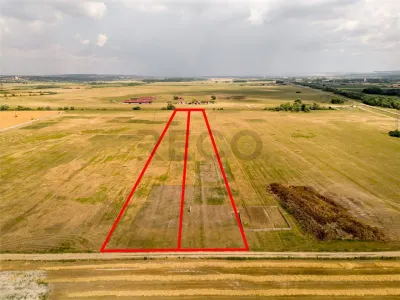 RECO teren extravilan ideal pentru balastiera in Rosiori - foto 2