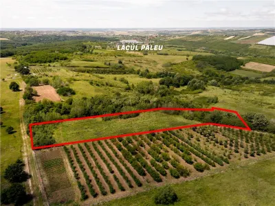 RECO Teren in Saldabagiu de Munte - Saldabagiu de Munte