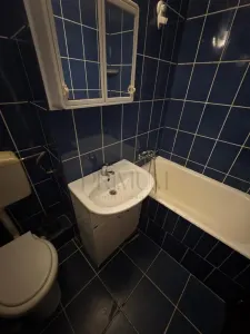 Dacia, apartament 2 camere, renovat, clima - foto 8