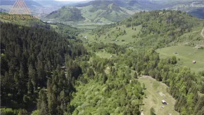 Teren de 10Ha in Bucovina BEST VIEW - foto 10