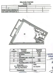 Casa Ds+P+1+M - 1 Decembrie - Trapezului - foto 14