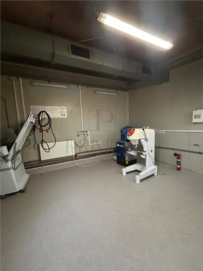 Spatiu comercial tip hala productie sau depozit - Mehala - foto 3