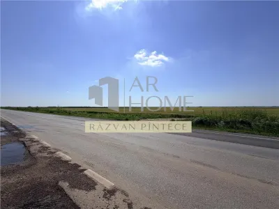 Teren industrial 6 ha, Autostrada A7, Tomsani, Prahova - foto 5