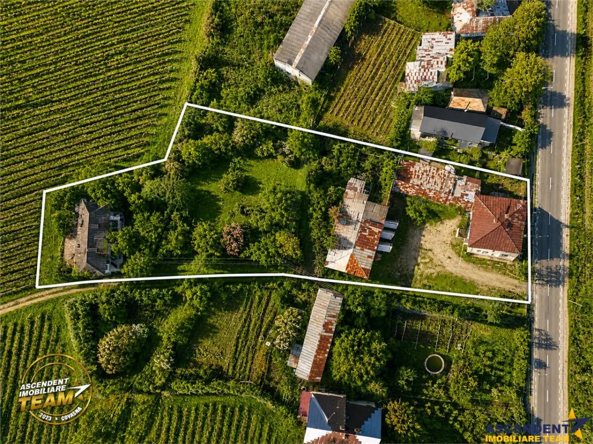FILM! Domeniu de 4.000 mp intravilan+ casa autentica, in podgoriile Odobesti,Vrancea - foto 3