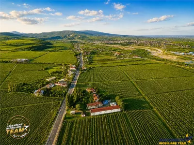 FILM! Domeniu de 4.000 mp intravilan+ casa autentica, in podgoriile Odobesti,Vrancea - foto 5